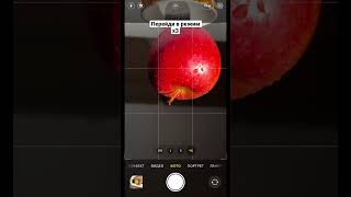 Как сфотографировать яблоко дома #каксфотогрофировать #идеядляфото #яблоко screenshot 5