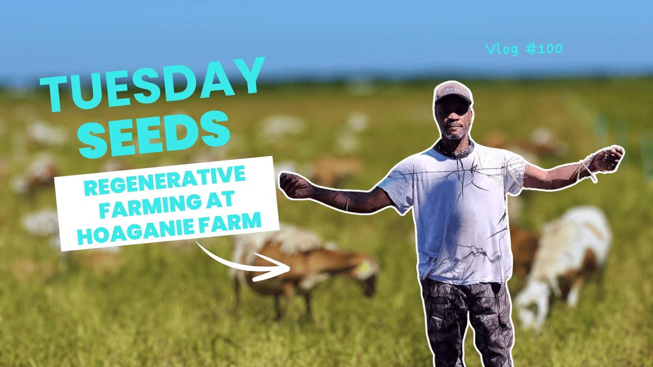 Regenerative Farming at Hoaganie Farm: Soil, Grass, and Growth