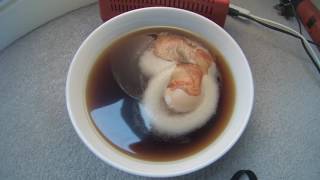 Egg In Vinegar Timelapse by PinewoodPirate 218 views 7 years ago 1 minute, 31 seconds