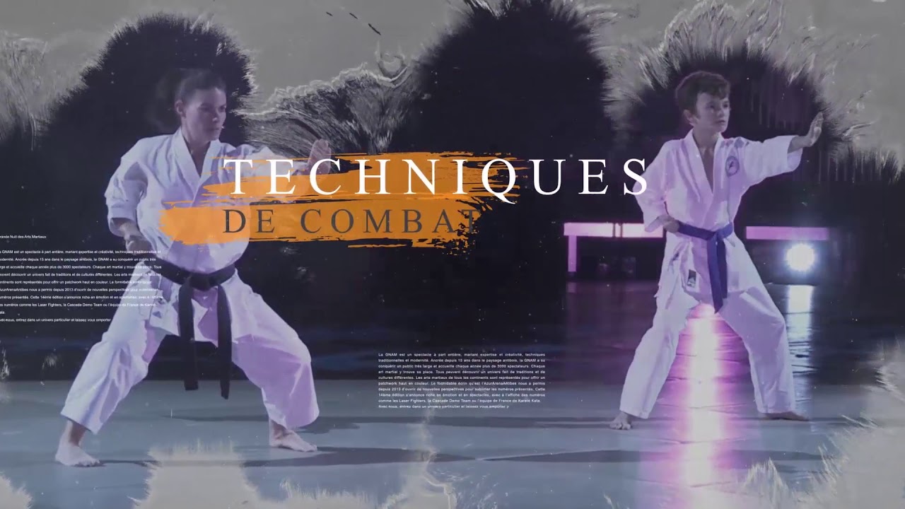 Teaser 14ème Grande Nuit des Arts Martiaux - Samedi 24 Novembre 2018 AzurArena Antibes - 20h00