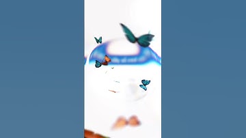 Hoàn 100% phí giao dịch exness, xm cho ea đang trade vàng