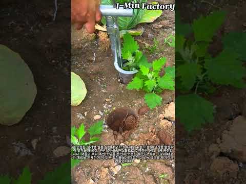 휴대용 수동 모종 이식기 식재 공정 #transplanter #farmingtools  #agriculture #farmwork   #workers