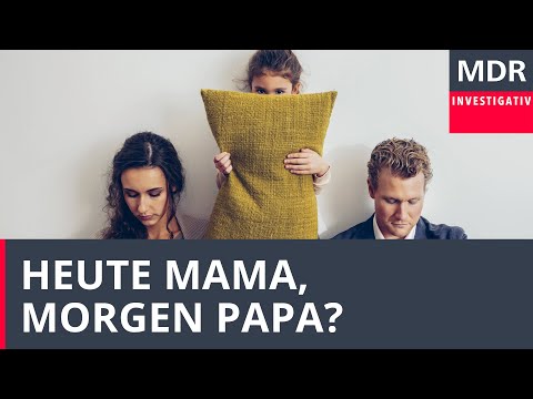 Video: Umpolung der magnetischen Pole und katastrophale Folgen für das Leben