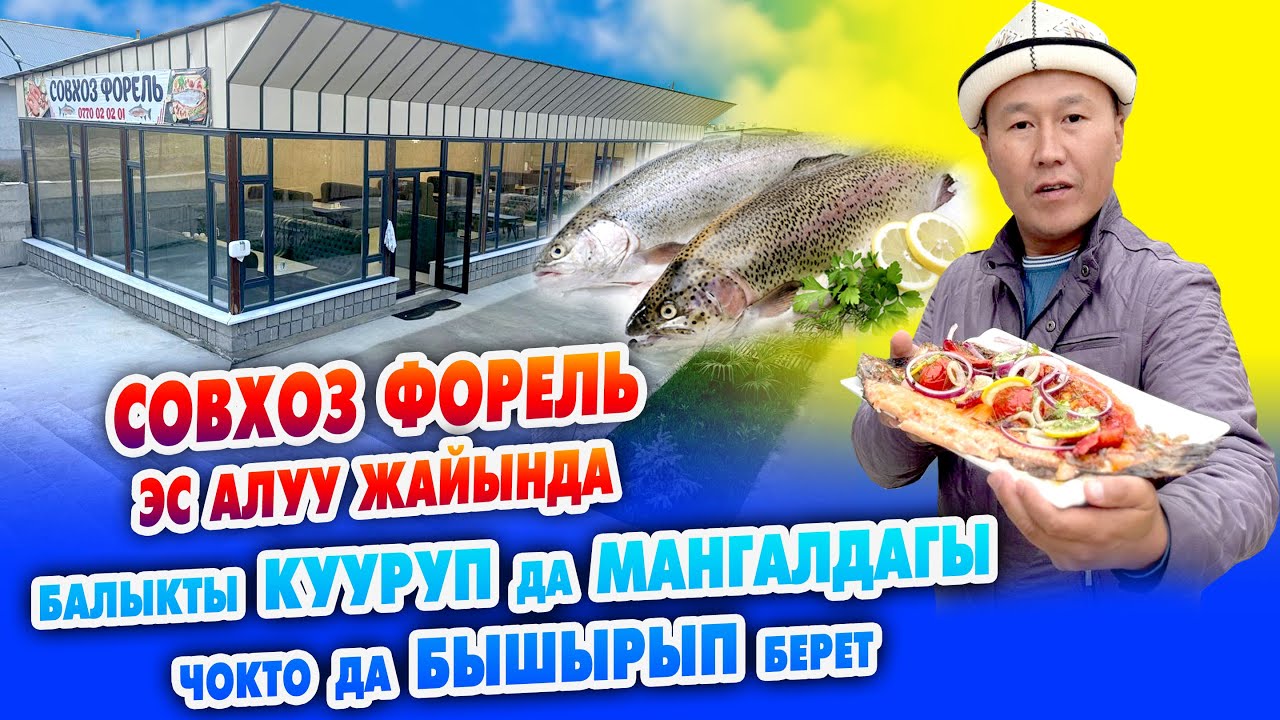 Форель БАЛЫГЫН ушул жерден ЖЕГИЛЕ ~ Кууруп да, Мангалга бышырып да берет ~ Совхоз ФОРЕЛЬ