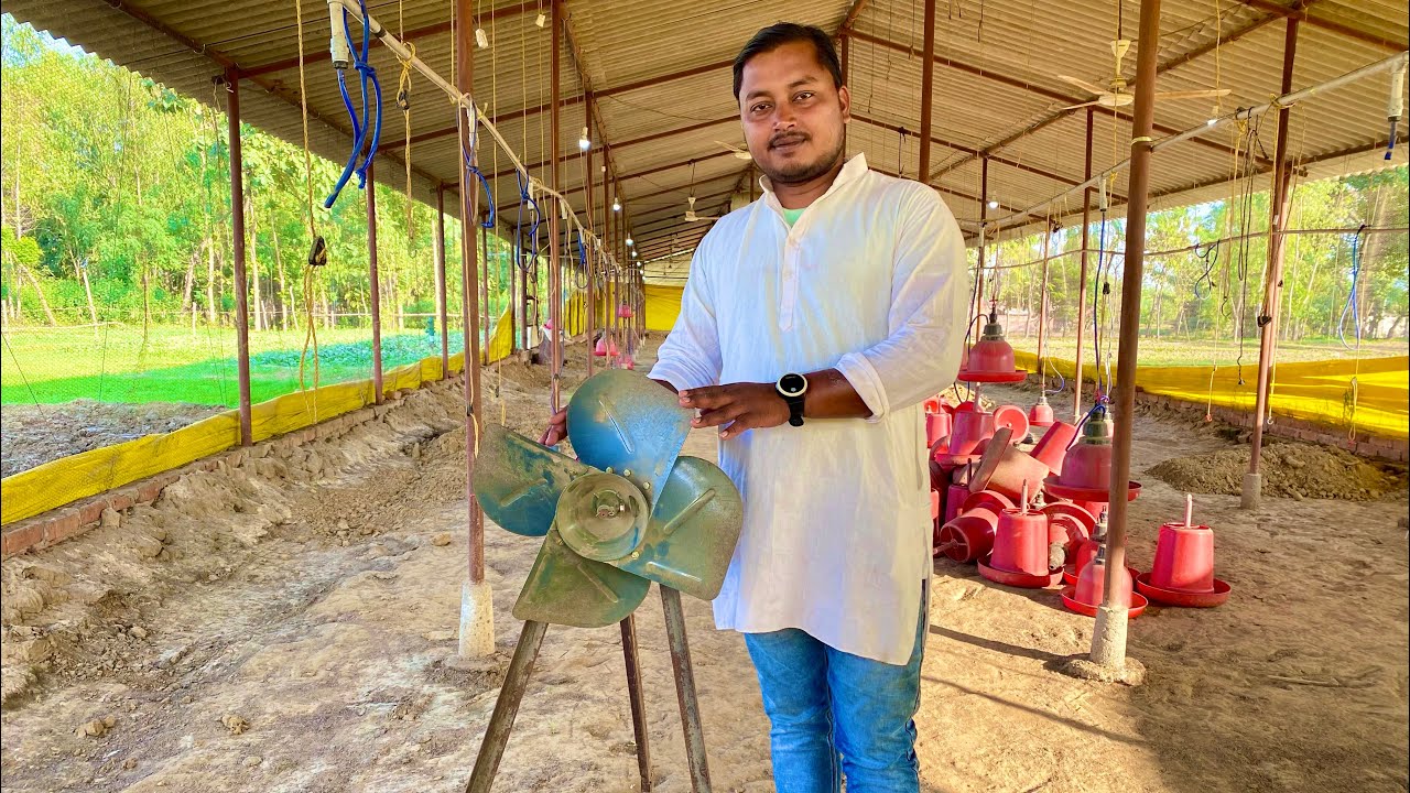 Champion कम्पनी का 350 वाट के फ़ैन का कमाल poultry फार्म को रखे एकदम ठण्डा | Poultry fan