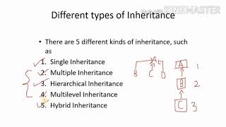 Inheritance in Java (Bengali) Wealth