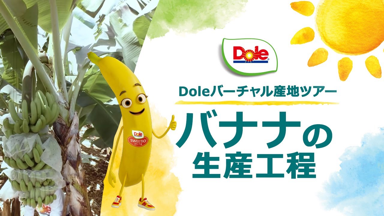 標高差でバナナの品質が違う 低地 超高地栽培まで網羅 ブランドバナナ14選 野菜ソムリエ Hiro のベジフルポケット