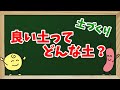 【良い土ってどんな土？】土作りの基本的な考え方！＊土作りの3要素について＊