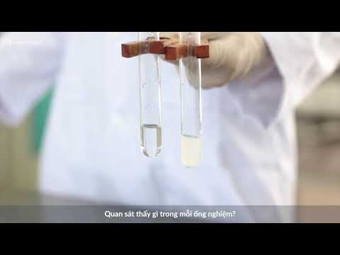 Video Thực hiện phản ứng với canxi hidroxit - youtube