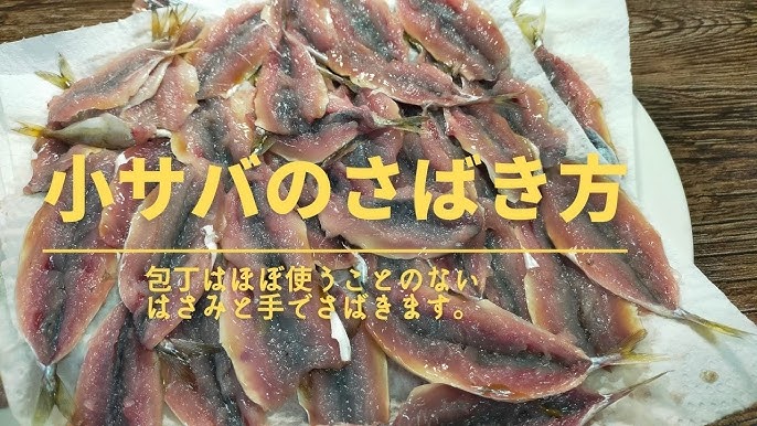 釣った魚でクッキング 小サバの捌き方 料理 グルメ編 Small Mackerel Cooking After Fishing Youtube 釣った魚でクッキング 小サバの捌き方 料理 グルメ編 Small Mackerel Cooking After Fishing Youtube