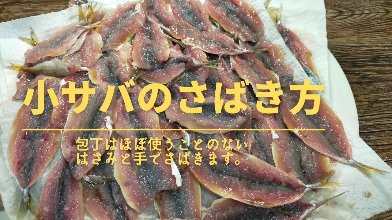 小サバのさばき方 最新 Youtube