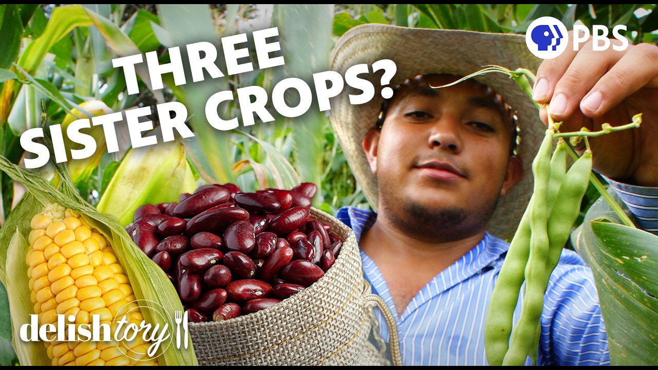 What Are The Three Sister Crops Delishtory YouTube what-are-the-three-sister-crops-delishtory-youtube