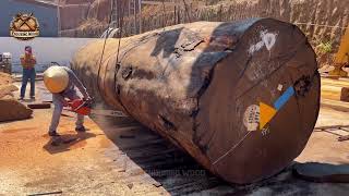 Inside Massive Timber Processing | Giant Logs, Powerful Machines