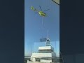 Paura in cantiere a Jesolo: lastra di vetro cade da un elicottero