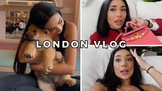 GETTING MUGGED, PUPPY YOGA, FAKEBIRKINSLAYER