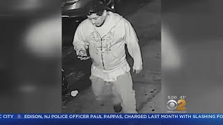Famous Suspect Arrested In Brooklyn Attempted Rape Net Worth