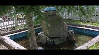 Full a tour of glenbrook farm in Catskill New York News