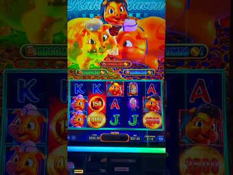 💶🥇Directito 🎰🎰Reina❤️ 50 free ..Slots casino #slots #BigWin #envivo #casino