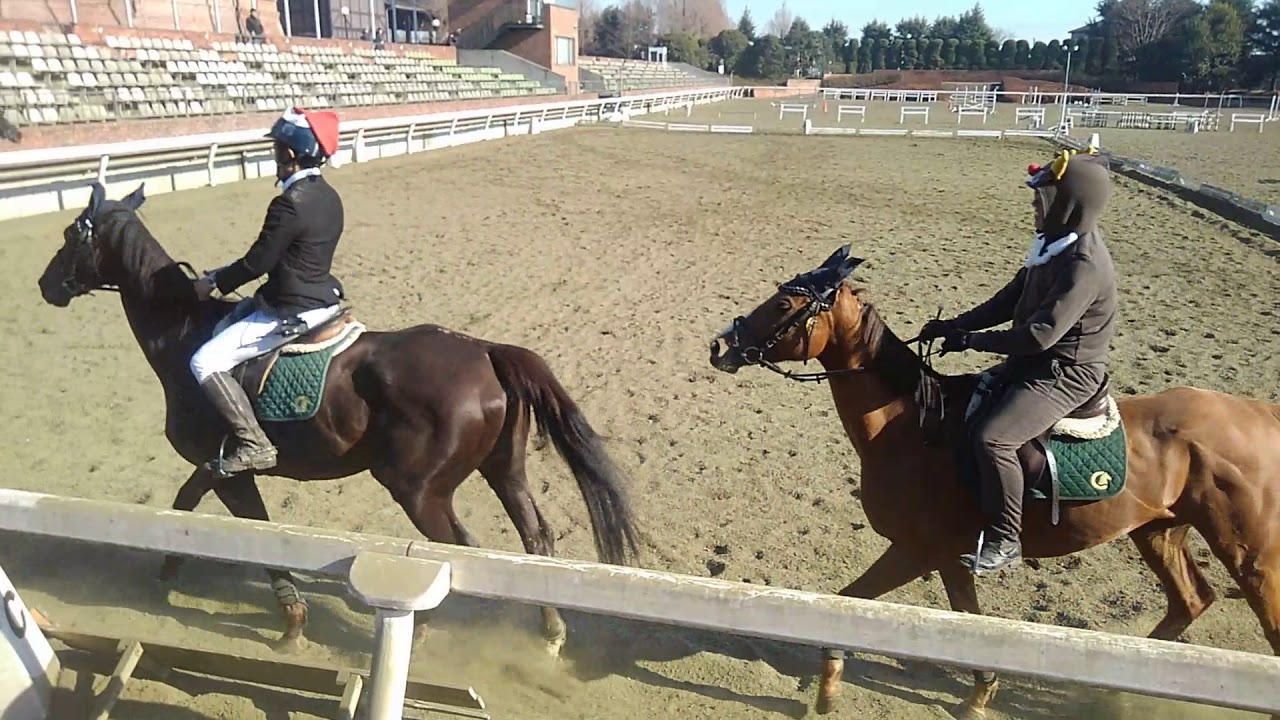 2017/12/23　クレイン栃木　スタッフカドリール