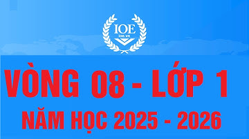 Đáp án IOE Tiếng Anh lớp 1 vòng 8 năm học 2025-2026