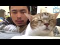 top 50 Funny Cats And Dogs Dancing To Music Of All TimTe