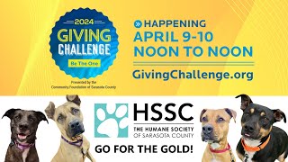 Be the one to go for the gold by Humane Society of Sarasota County 195 views 1 month ago 30 seconds