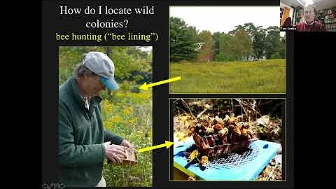 Darwinian Beekeeping with Dr. Thomas Seeley | Hous...