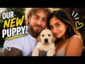 WE GOT A PUPPY… and instantly fell in love 🥹🐶