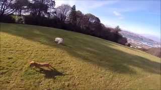 Archie Training Part 2