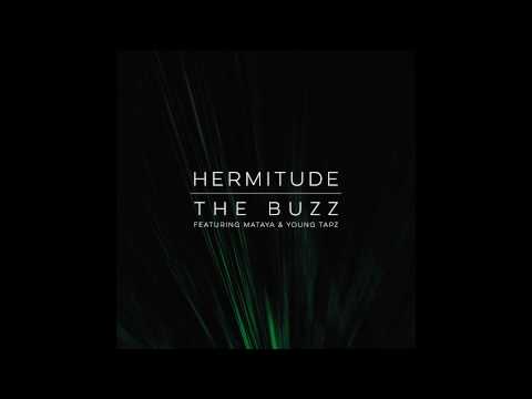 Hermitude - The Buzz [Audio]