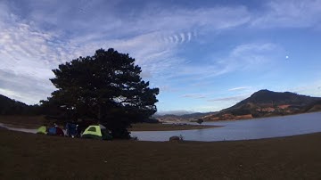 Dựng Lều ở Cây Thông Cô Đơn Đà Lạt | VLog | Đi cùng Phúc