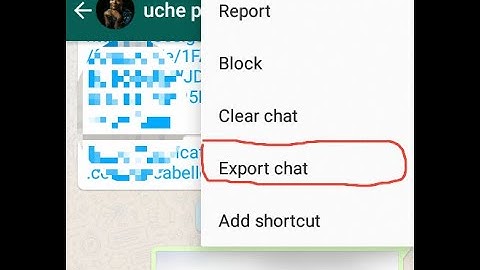 How to Export WhatsApp Chat History for Android