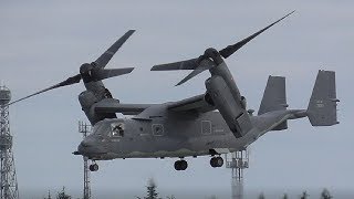 大観衆が見守るなかオスプレイが飛行 V-22【横田基地日米友好祭2019】Yokota Air Base 2019/09/15