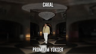 Cakal - Promilim Yüksek (Speed Up) Resimi