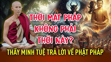 🔥Thời Mạt Pháp? - Thầy Minh Tuệ Trả Lời Câu  Hỏi Về Phật Pháp | Pháp Thoại Hay 2025