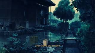 Ayleen Valentine  I Dont Wanna Say Goodbye