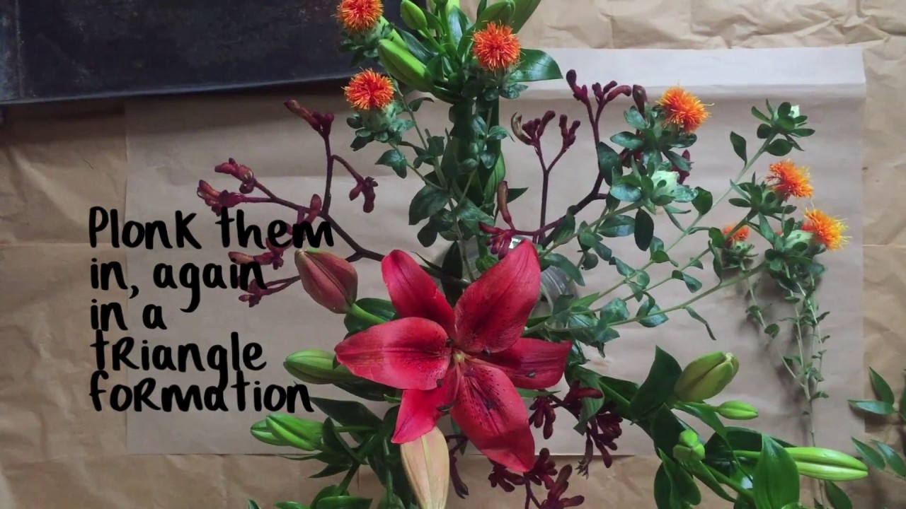 Kangaroo paw, carthamus, lilies