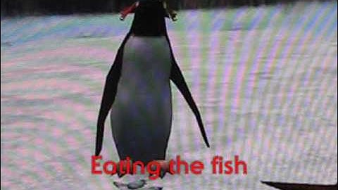 Zoo Tycoon 2: A Moment in a Killer Penguins Life