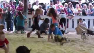 Videographer Joyce Smith..Pig Scramble..July 2014