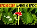 8 Amazing Ways to Use BAKING SODA in the Garden 🌱