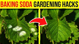 8 Amazing Ways to Use BAKING SODA in the Garden 🌱