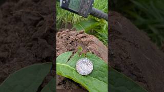 700 year old hammered coin!
