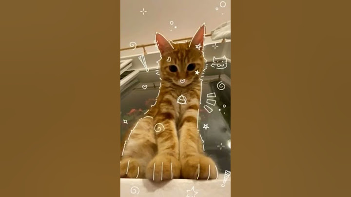 Я НЕ КВАДРОБЕР. На аву