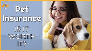 Is Pet Insurance a Life Saver or Waste of Money?