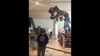 Dino skeleton’s at the Royal Ontario Museum