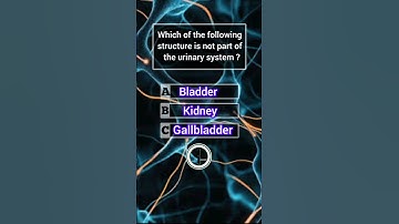 wait for end 🤔#knowledgequiz #quiz #challenge #triviatricks #dailyvlog #funny