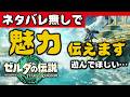 ゼルダ解説【マジで遊んで】ティアーズオブザキングダムが本能にくる理由語りたい