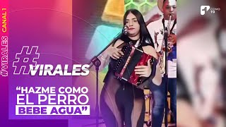 ‘Hazme como el perro bebe agua’: la canción viral que desata burlas en redes | Canal 1