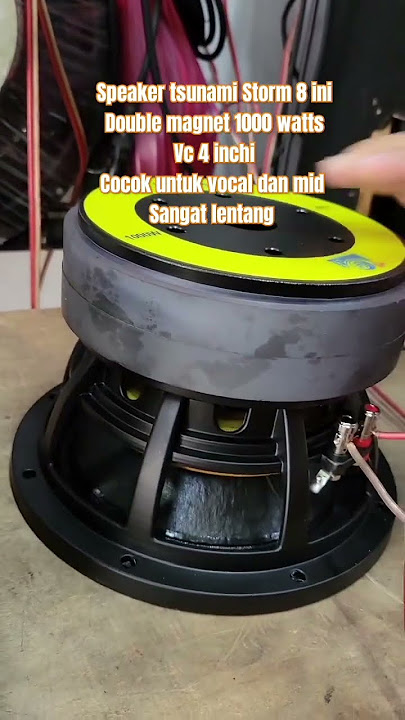 Speaker Storm 8 inchi 1000 Watt #speaker #audio #sound