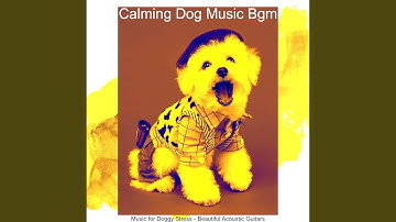 Wicked Backdrops for Relaxing Dogs